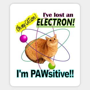 PAWsitive CATion Magnet